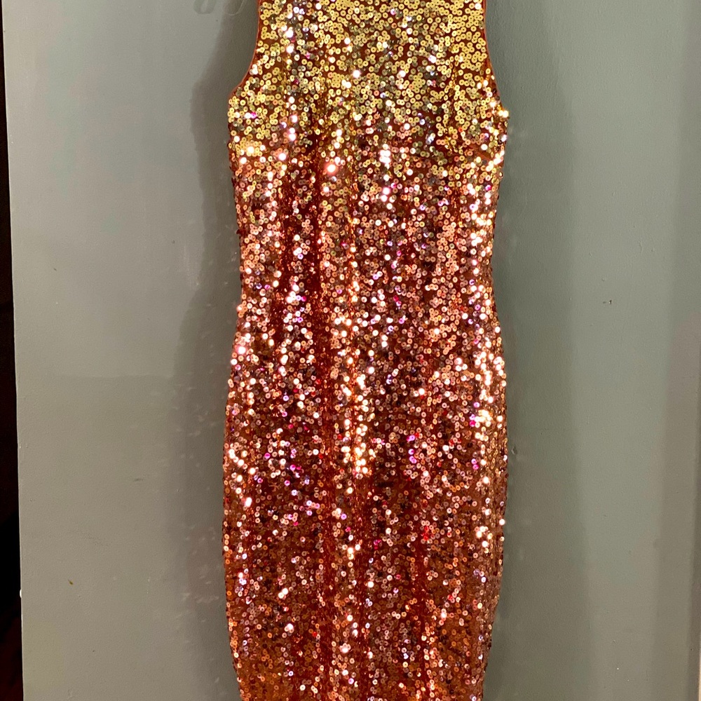 Brand New New York and company dress